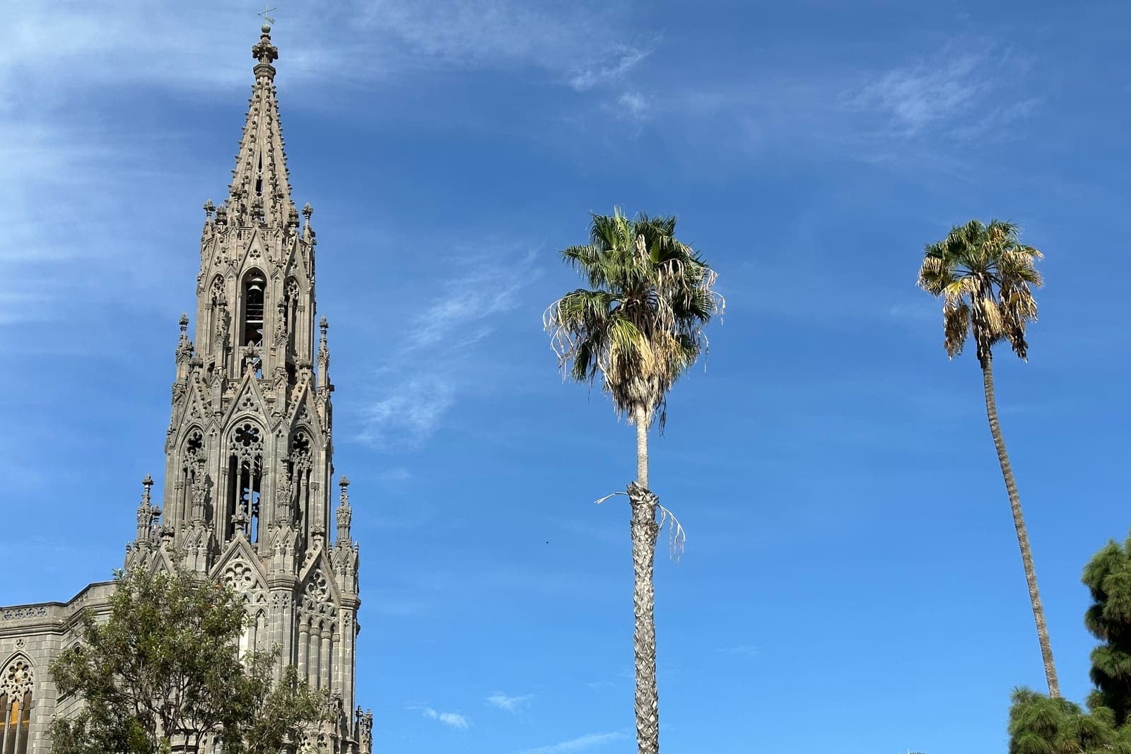 La guglia neogotica in pietra della chiesa di San Juan Bautista ad Arucas, fra le palme