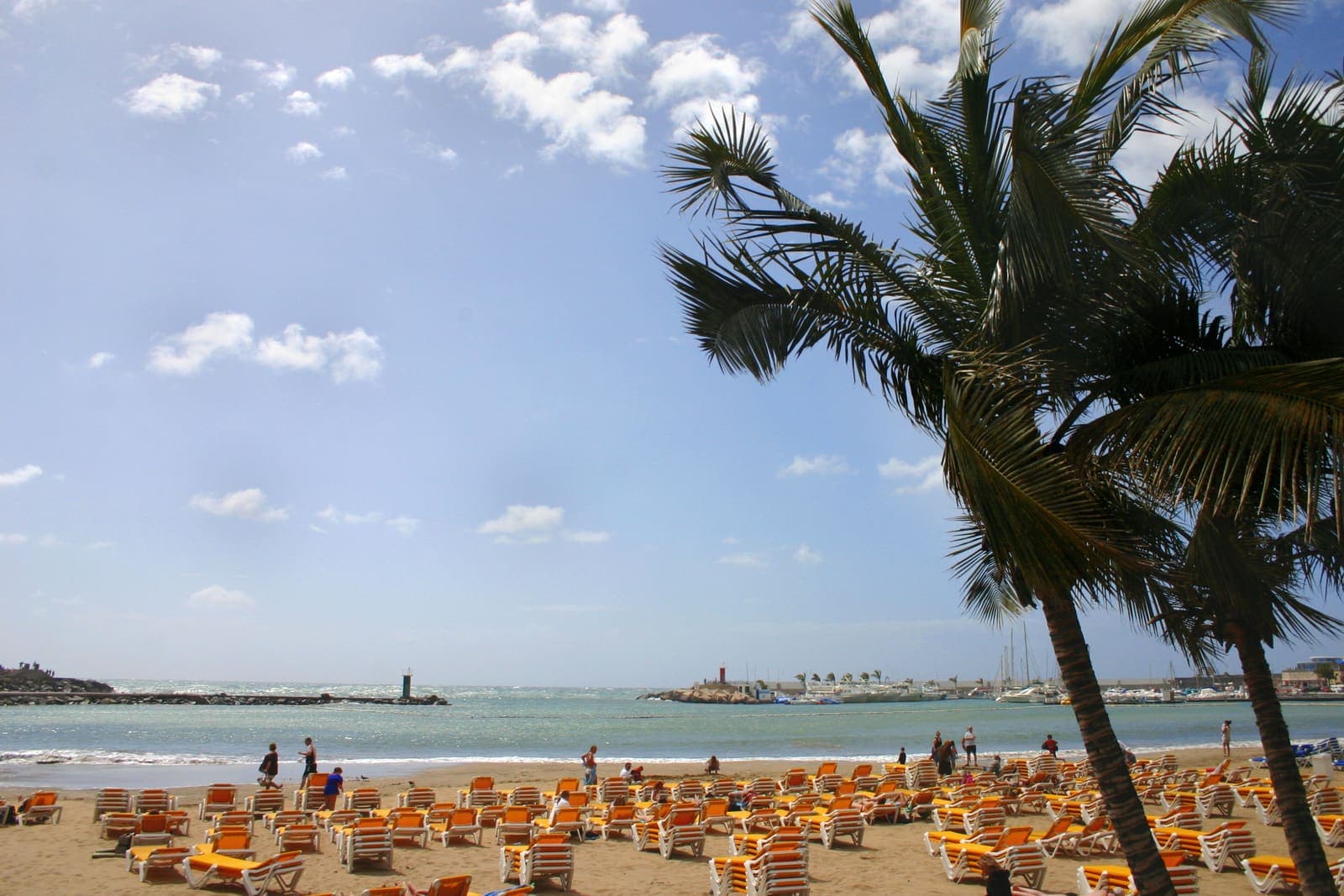 La spiaggia di Puerto Rico con le palme e le sdraio, il molo e il porto turistico sullo sfondo