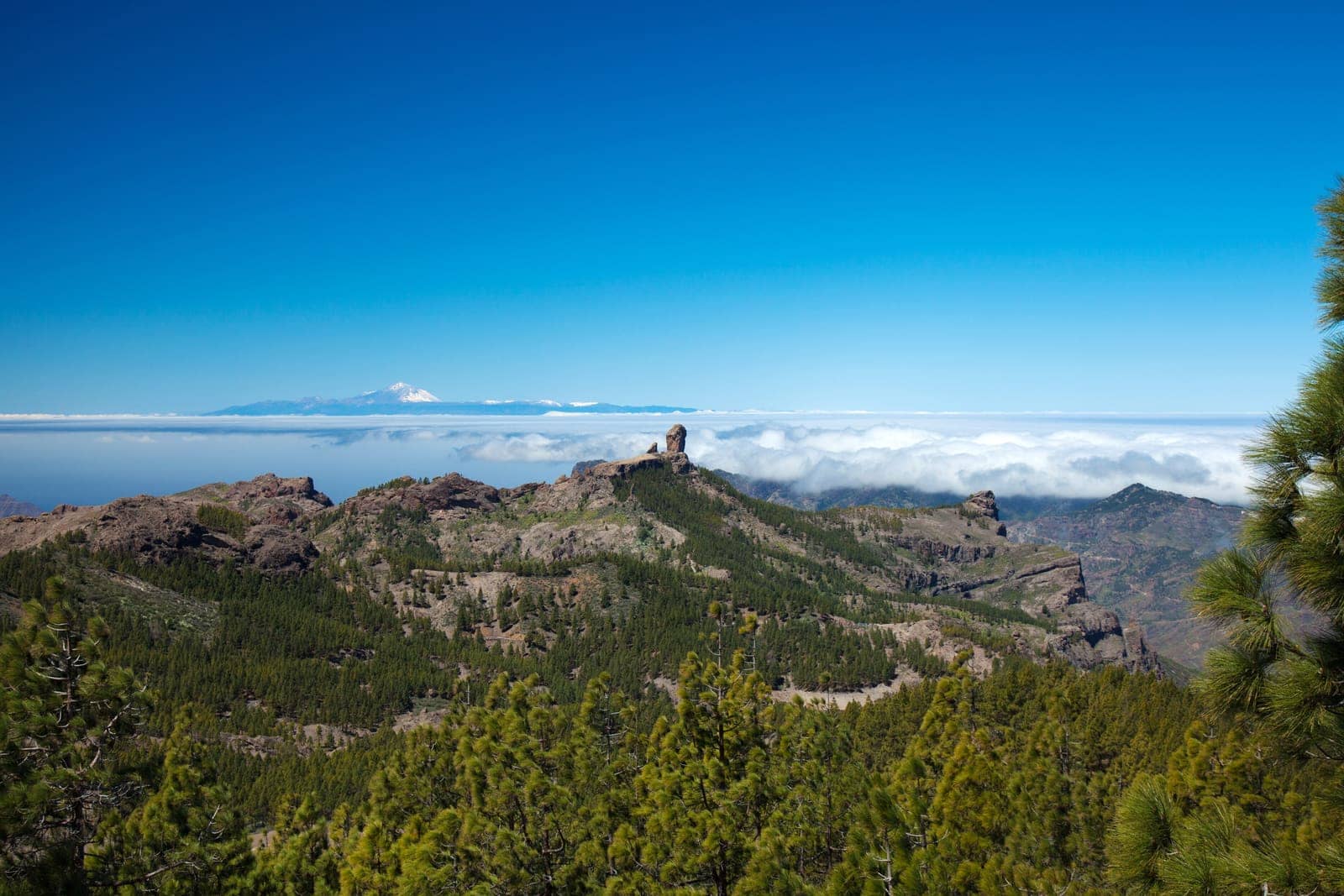 Il Roque Cinchado in primo piano con il Teide alle spalle, Parco Nazionale del Teide, cielo blu