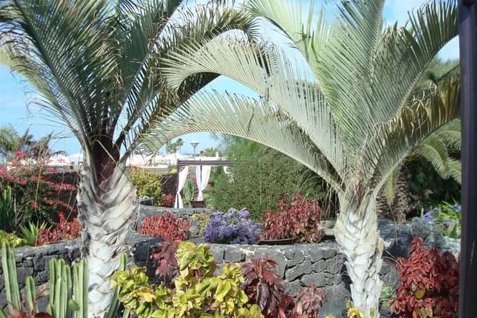 Villa Vik – Boutique